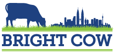 bright cow logo